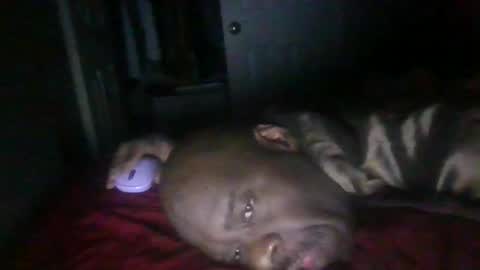 blackteddybear online show from February 21, 11:33 am