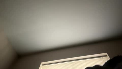 Snapshot of blkbbcking chatting on December 1, 2:11 pm blkbbcking online show from December 1, 2:11 pm