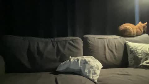 BlIdoL online show from November 24, 6:46 am