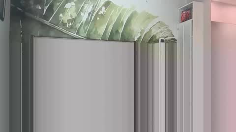 blondebunny999 online show from March 18, 8:56 pm