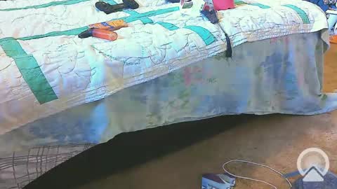 First Time College Boy online show from February 20, 2:24 pm