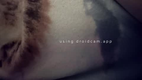 bluealpakka online show from March 15, 4:40 am