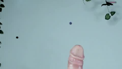 Snapshot of blueberry_____ chatting on April 12, 9:42 pm Sophie online show from April 12, 9:42 pm