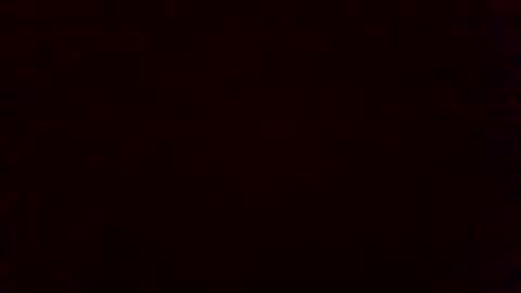 bluegum00 online show from November 4, 9:41 am