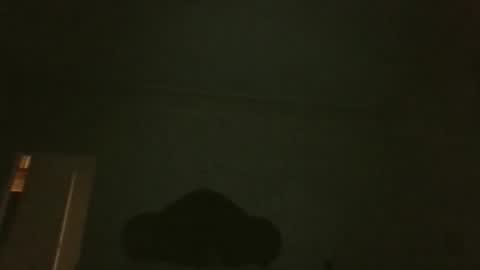 Snapshot of bluemoose70 chatting on April 19, 2:55 am bluemoose70 online show from April 19, 2:55 am