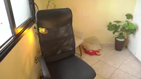 FLORAA online show from February 11, 10:26 am