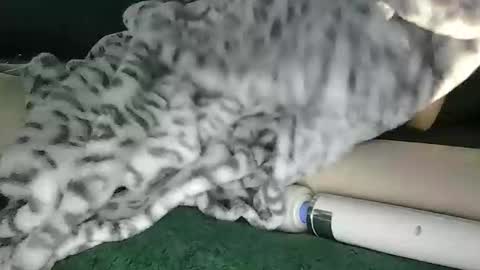 Snapshot of blyss666 chatting on October 28, 9:39 pm lyss online show from October 28, 9:39 pm