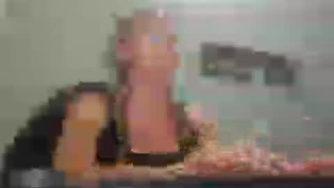 MamaMorgan online show from July 27, 6:59 pm