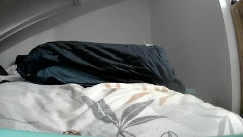 bo22222222 online show from July 24, 6:22 am