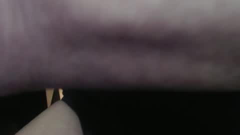 Snapshot of bob271828 chatting on December 21, 9:00 pm Bob online show from December 21, 9:00 pm