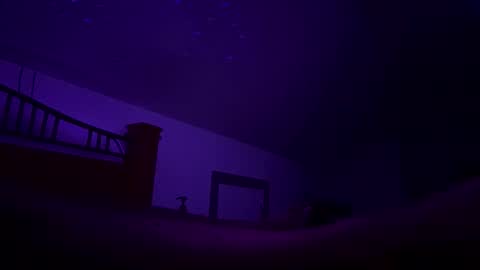 bodiddly64 online show from October 12, 10:36 am