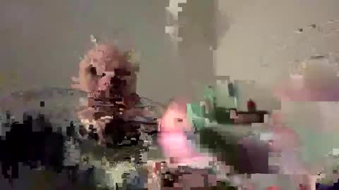 Bodyart85 19 online show from December 4, 5:55 pm