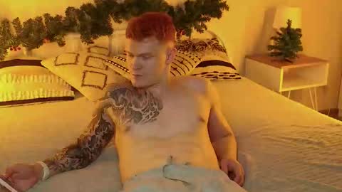 Snapshot of boicute chatting on November 30, 12:25 am ALEXPVT IS OPEN online show from November 30, 12:25 am