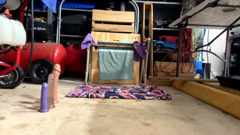 FRECKLES online show from February 18, 2:38 am