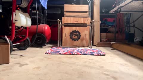 FRECKLES online show from February 20, 11:53 am