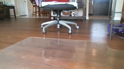 FRECKLES online show from March 6, 6:26 pm