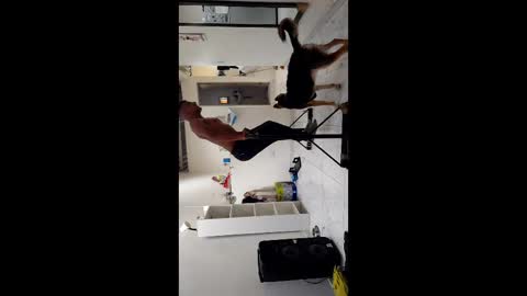 Boner Steve online show from November 3, 7:26 pm