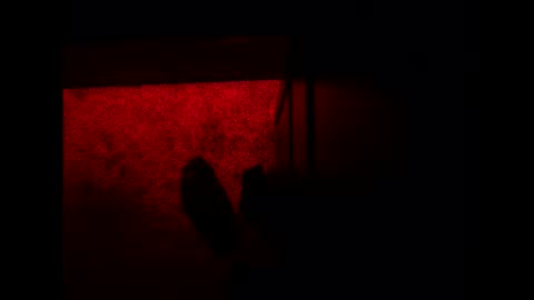 bonny8723 online show from November 3, 10:21 pm