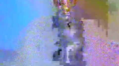 boobbyb online show from October 24, 8:22 am
