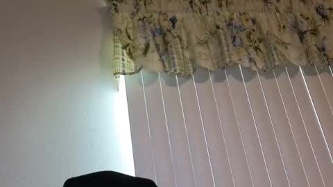 Snapshot of boobi2991 chatting on April 21, 10:01 pm sissy slut boobi online show from April 21, 10:01 pm