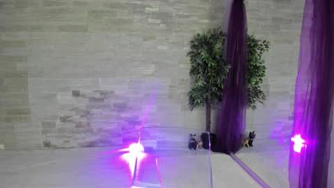 boobzilla_ online show from February 2, 5:50 am