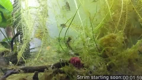 Snapshot of booker_baxton chatting on December 5, 4:09 am Booker Baxton online show from December 5, 4:09 am