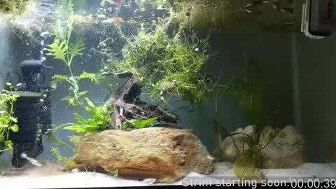 Snapshot of booker_baxton chatting on December 7, 4:09 am Booker Baxton online show from December 7, 4:09 am