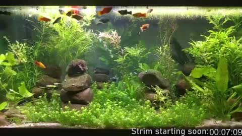 Snapshot of booker_baxton chatting on December 8, 4:04 am Booker Baxton online show from December 8, 4:04 am