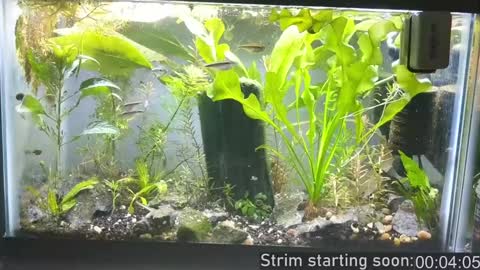 Snapshot of booker_baxton chatting on December 15, 4:07 am Booker Baxton online show from December 15, 4:07 am