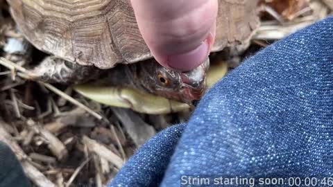 Snapshot of booker_baxton chatting on December 21, 4:09 am Booker Baxton online show from December 21, 4:09 am