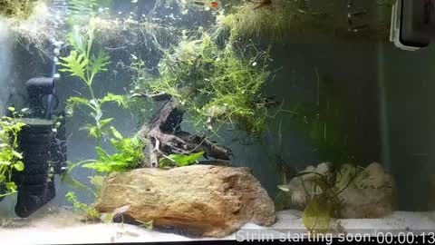 Snapshot of booker_baxton chatting on December 24, 4:11 am Booker Baxton online show from December 24, 4:11 am