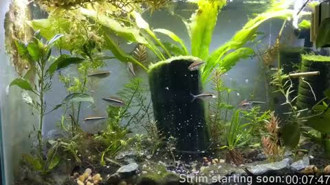 Snapshot of booker_baxton chatting on December 25, 4:01 am Booker Baxton online show from December 25, 4:01 am