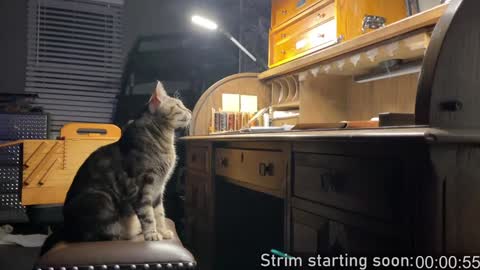 Snapshot of booker_baxton chatting on January 9, 4:08 am Booker Baxton online show from January 9, 4:08 am