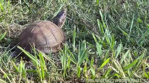 Snapshot of booker_baxton chatting on January 11, 4:06 am Booker Baxton online show from January 11, 4:06 am