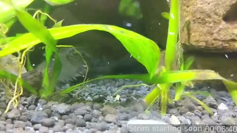 Snapshot of booker_baxton chatting on January 14, 4:04 am Booker Baxton online show from January 14, 4:04 am