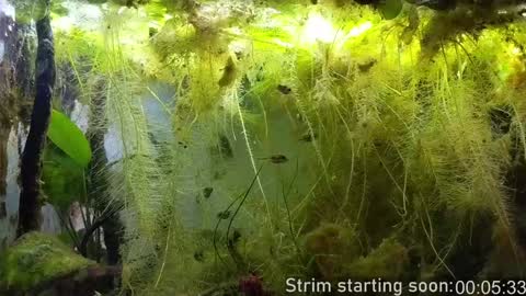 Snapshot of booker_baxton chatting on February 4, 4:05 am Booker Baxton online show from February 4, 4:05 am