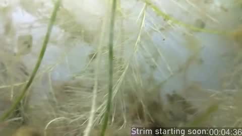 Snapshot of booker_baxton chatting on February 25, 4:03 am Booker Baxton online show from February 25, 4:03 am