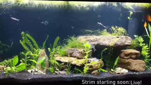 Snapshot of booker_baxton chatting on September 19, 3:08 am Booker Baxton online show from September 19, 3:08 am