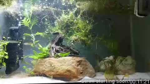 Snapshot of booker_baxton chatting on September 21, 2:57 am Booker Baxton online show from September 21, 2:57 am