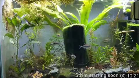 Snapshot of booker_baxton chatting on September 23, 2:58 am Booker Baxton online show from September 23, 2:58 am