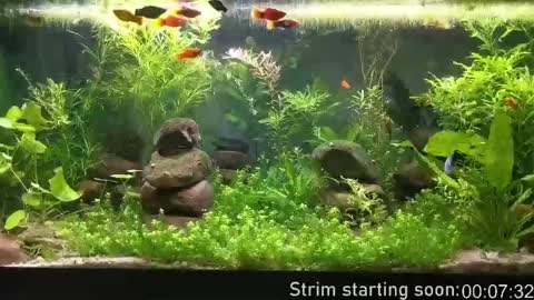 Snapshot of booker_baxton chatting on October 7, 3:04 am Booker Baxton online show from October 7, 3:04 am