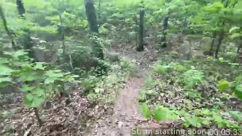 Snapshot of booker_baxton chatting on October 9, 3:04 am Booker Baxton online show from October 9, 3:04 am