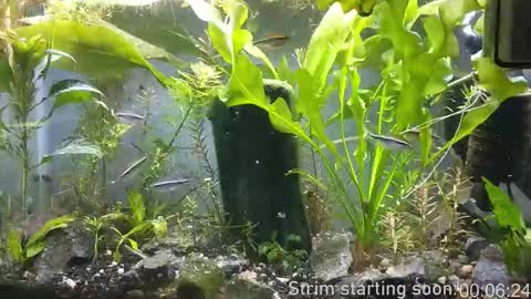 Snapshot of booker_baxton chatting on November 9, 4:00 am Booker Baxton online show from November 9, 4:00 am