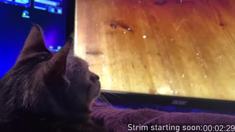 Snapshot of booker_baxton chatting on November 16, 4:07 am Booker Baxton online show from November 16, 4:07 am