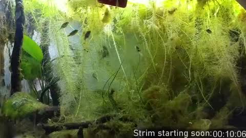 Booker Baxton online show from March 31, 2:57 am