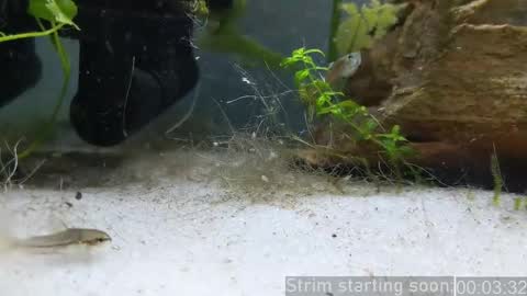 Booker Baxton online show from April 25, 3:09 am