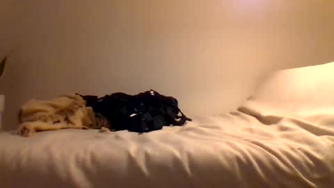 Snapshot of booty4pegging chatting on March 3, 5:39 pm booty4pegging online show from March 3, 5:39 pm