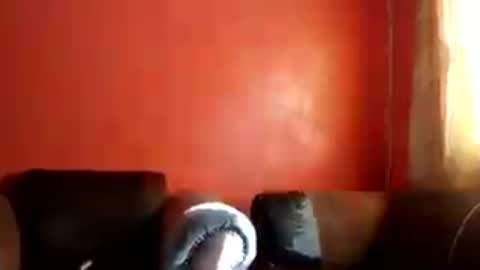 botsougaba online show from July 27, 7:48 am