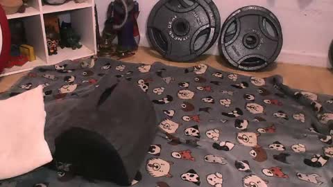 Pumpkin Butt online show from April 10, 6:29 am