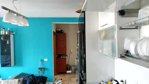 Snapshot of boy_aroundtheworld chatting on September 13, 10:26 am Dan online show from September 13, 10:26 am